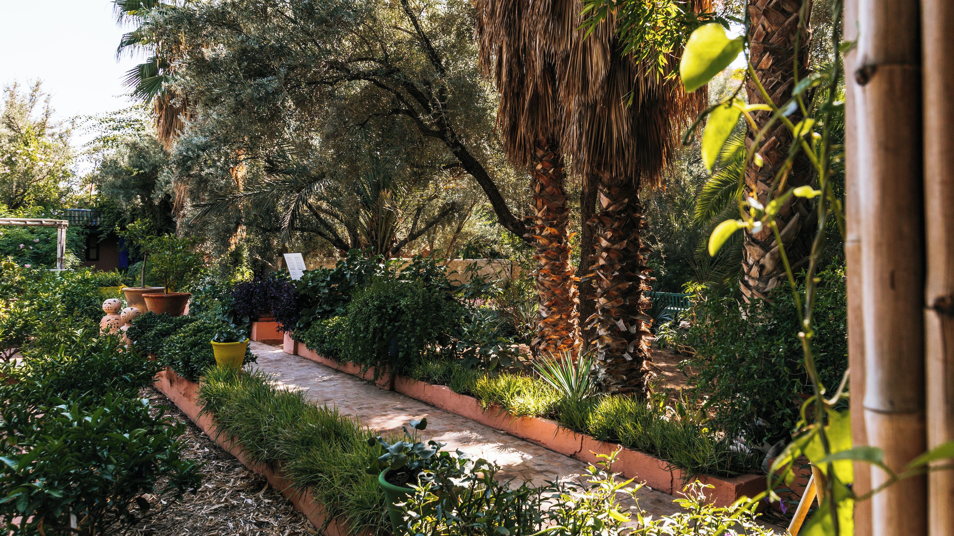 Majorelle Garden