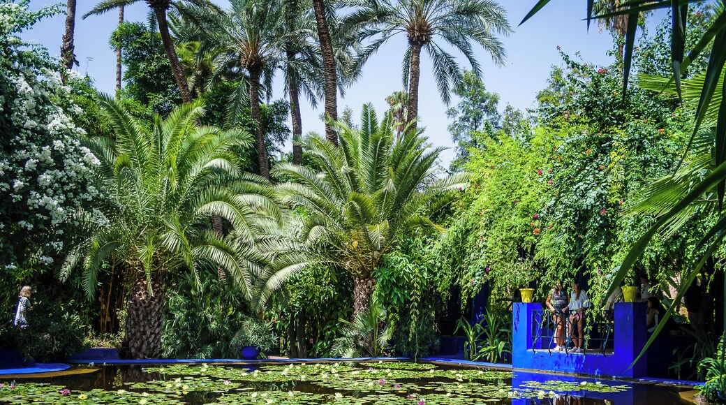 Vườn Majorelle