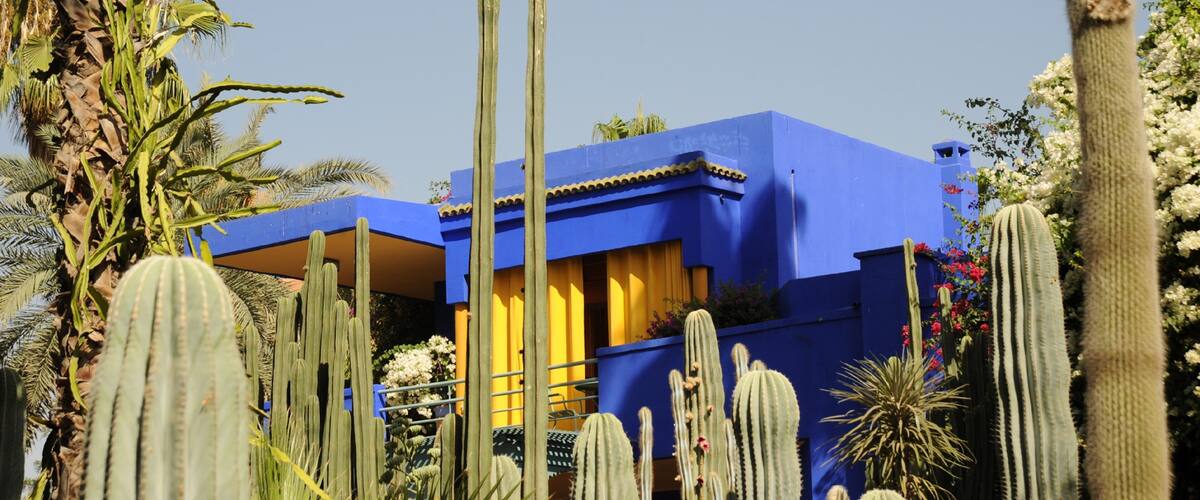 Majorelle Gardens featuring desert views and a garden
