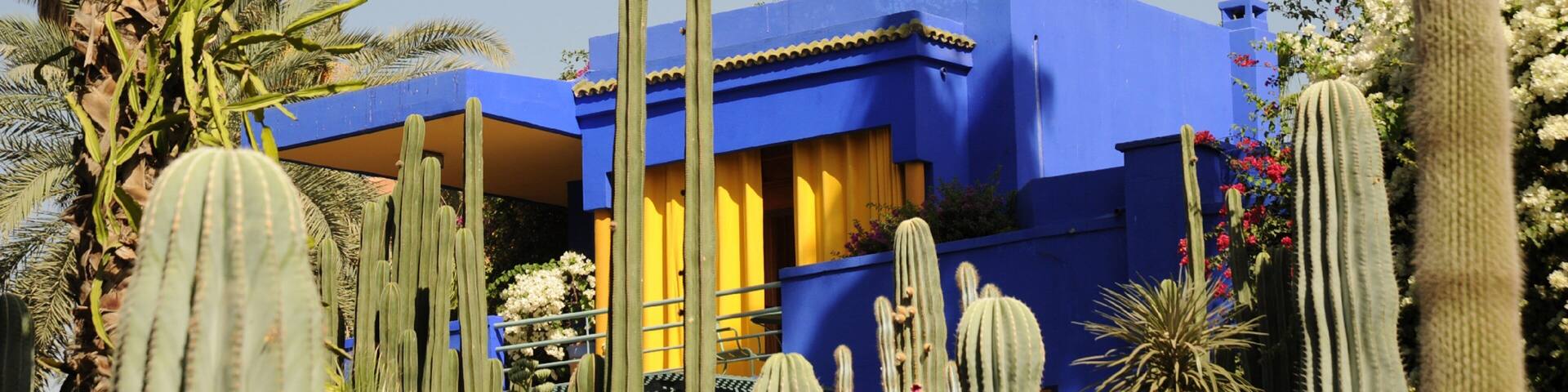 Majorelle Gardens featuring desert views and a garden