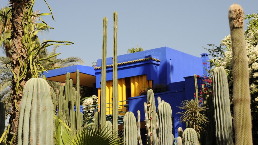 Majorelle Gardens featuring desert views and a garden