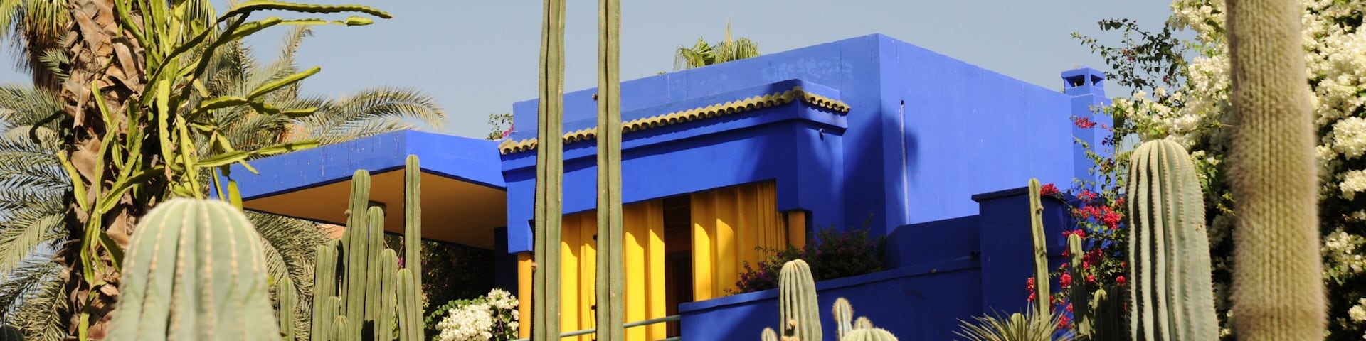 Majorelle Gardens featuring desert views and a garden