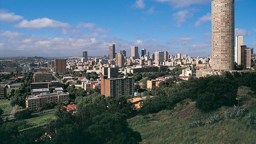 Cityscape of Johanesburg, South Africa From a Grassy Hill