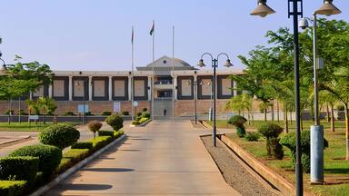 A building with a dome, flagpoles, and a pathway lined with trees and street lamps.