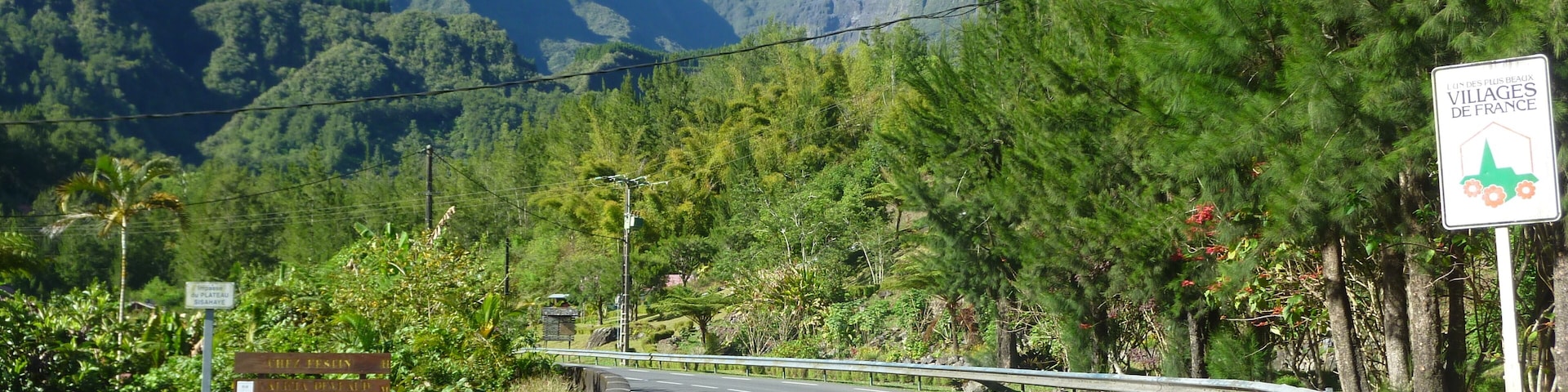 A winding road with a guardrail, surrounded by lush greenery and mountains.