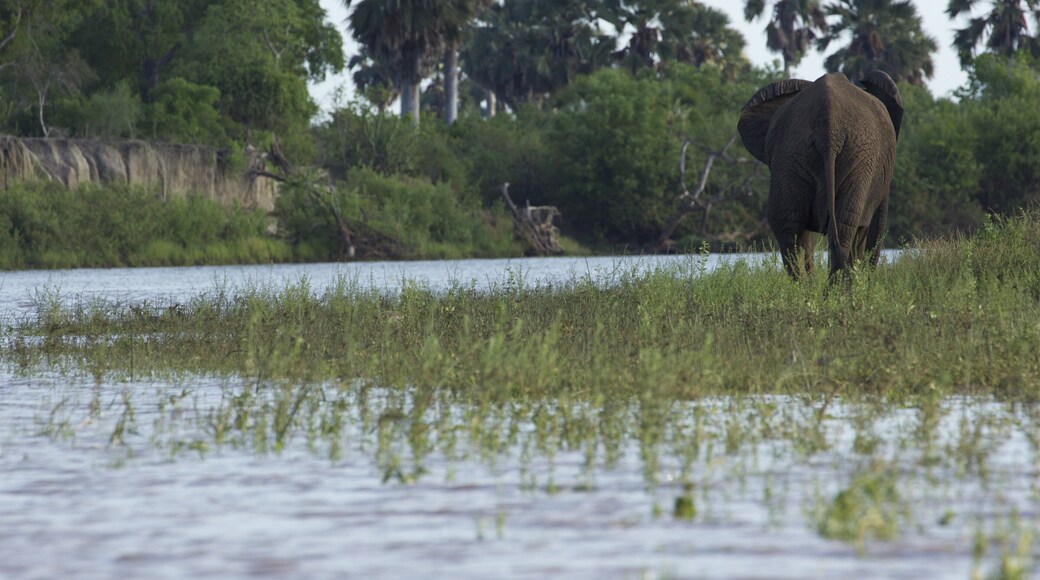 0_4a4f8db0-a6d8-4226-8f92-bb296162fda3_raw