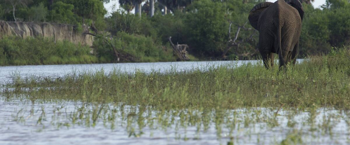 0_4a4f8db0-a6d8-4226-8f92-bb296162fda3_raw