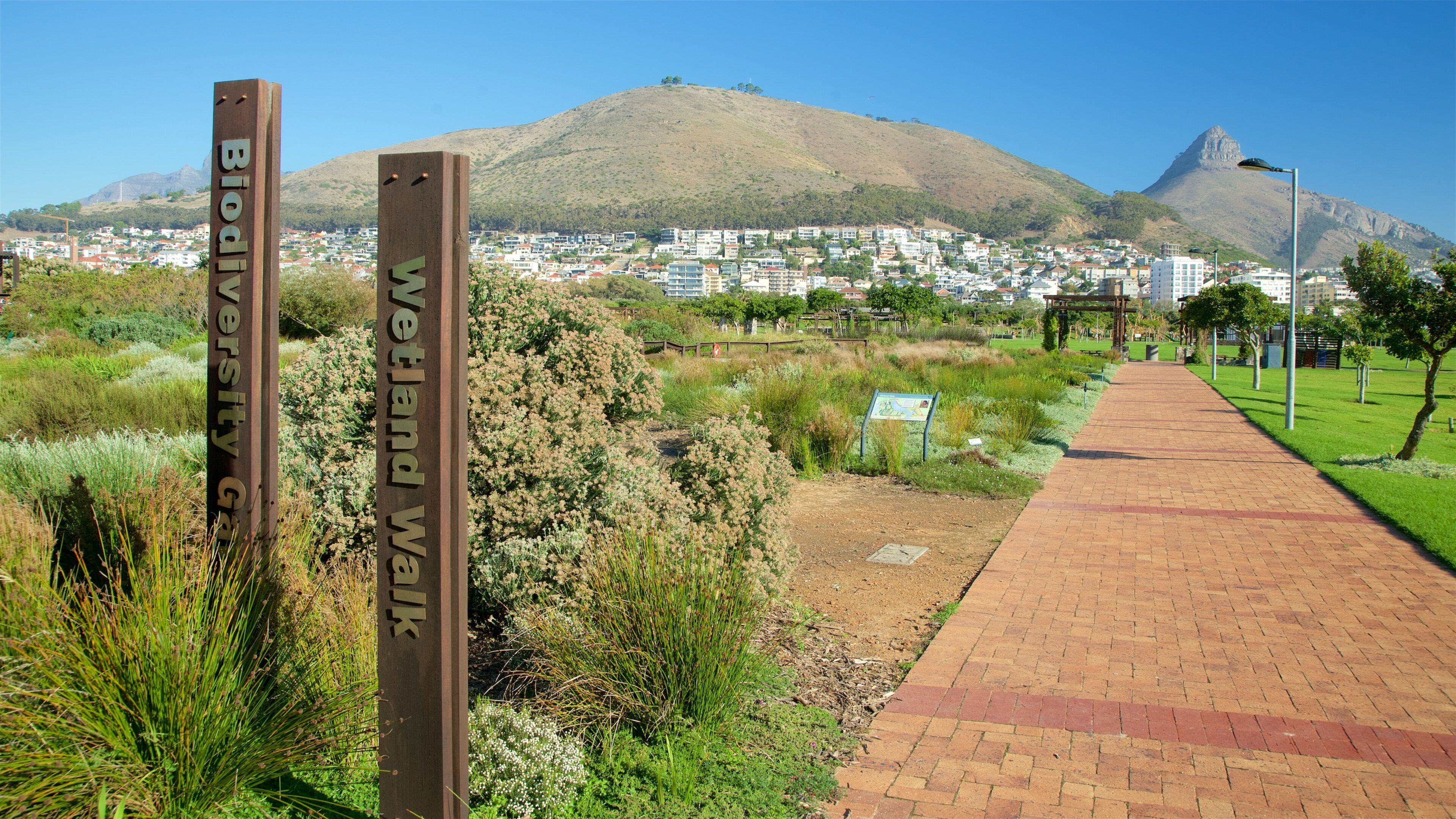 Cape Town featuring a garden and signage
