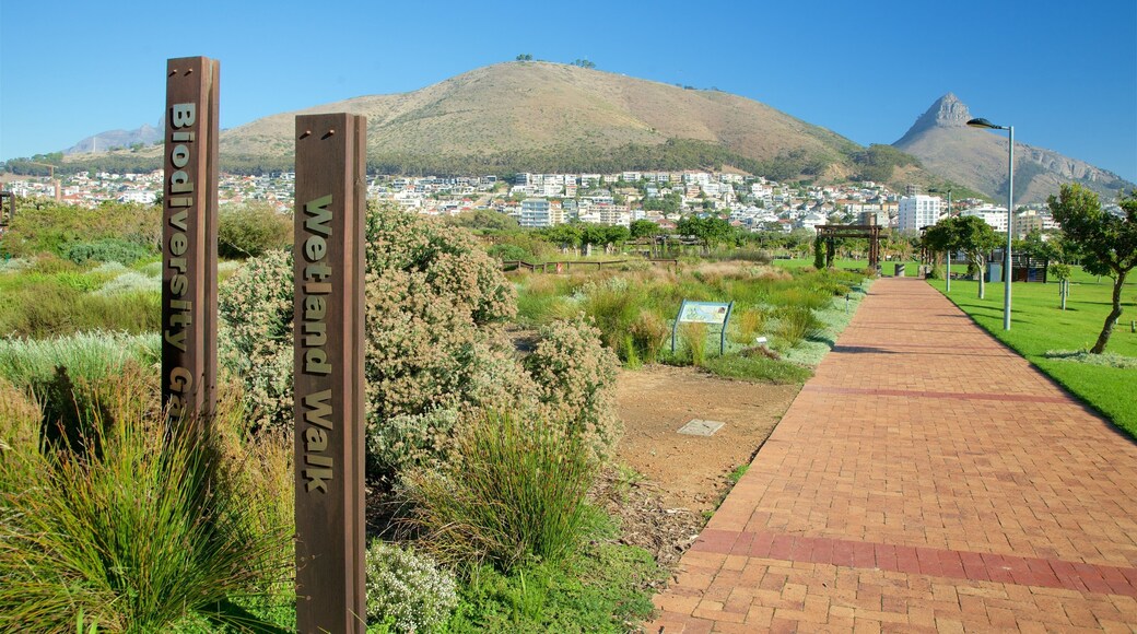 Cape Town featuring a garden and signage