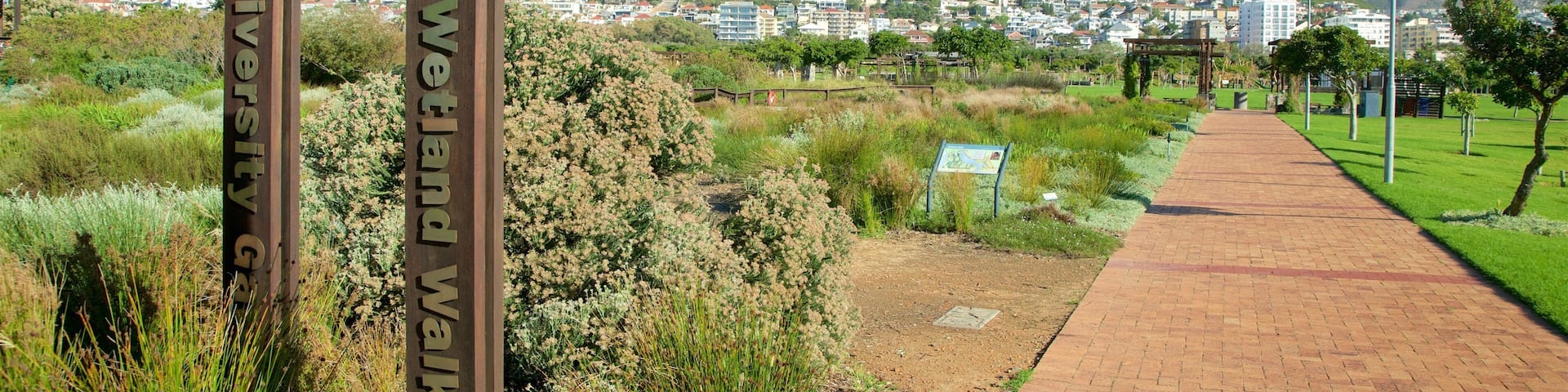 Un sendero que lleva a una colina con un letrero que dice 'Biodiversity Wetland'.