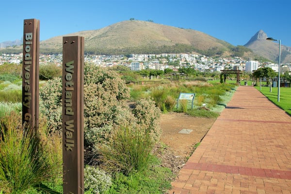 Cape Town which includes signage and a park