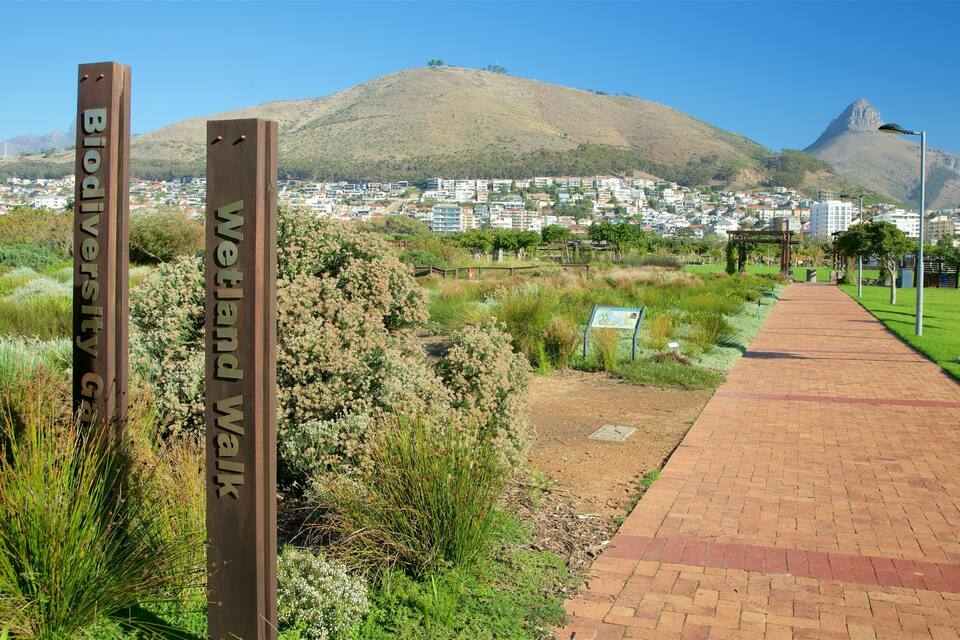 Uma trilha que leva a uma colina com uma placa que diz 'Biodiversity Wetland'.
