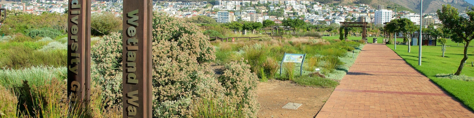 Cape Town which includes signage and a garden