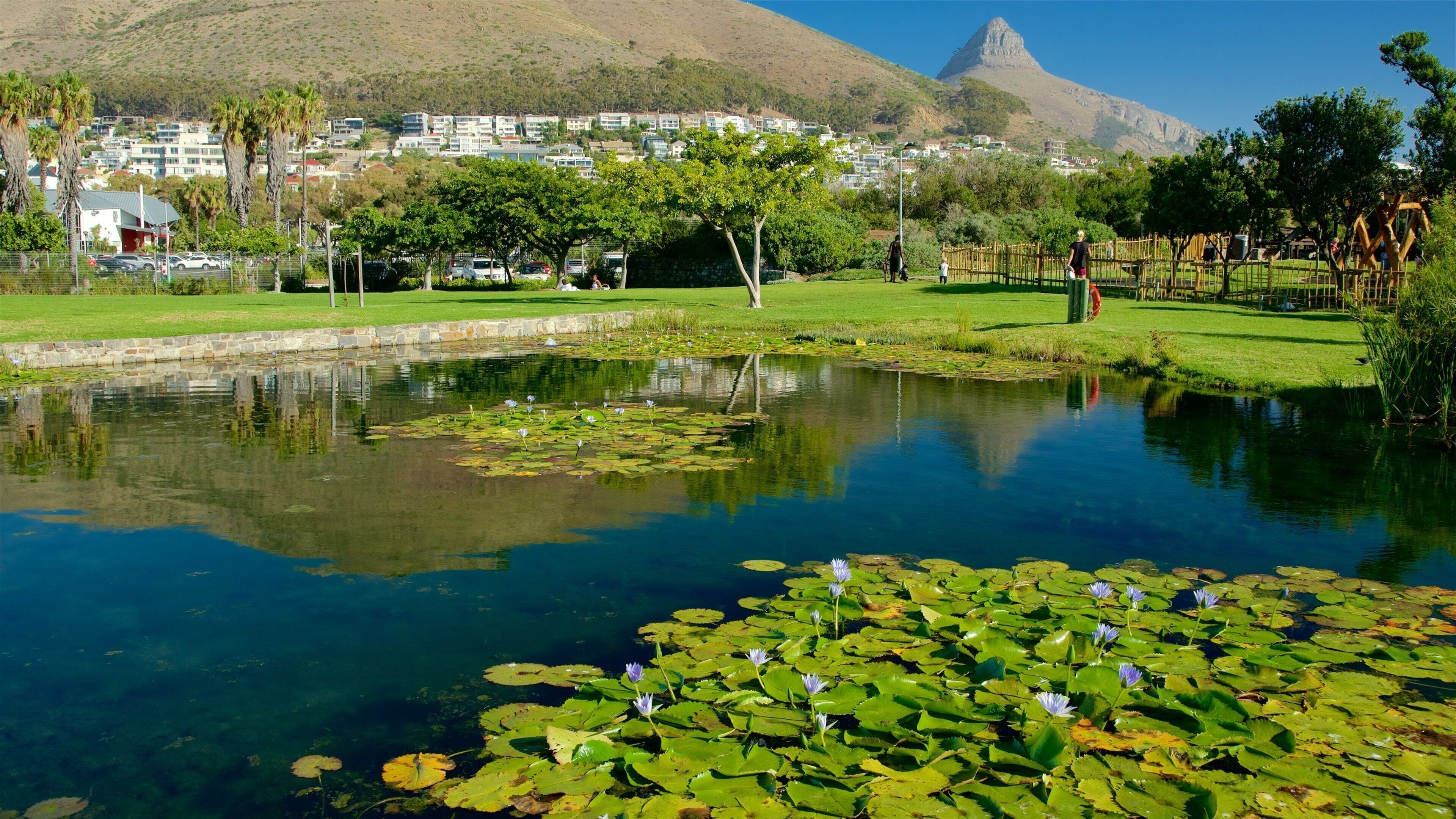 Cape Town som viser dam og hage i tillegg til en kvinne