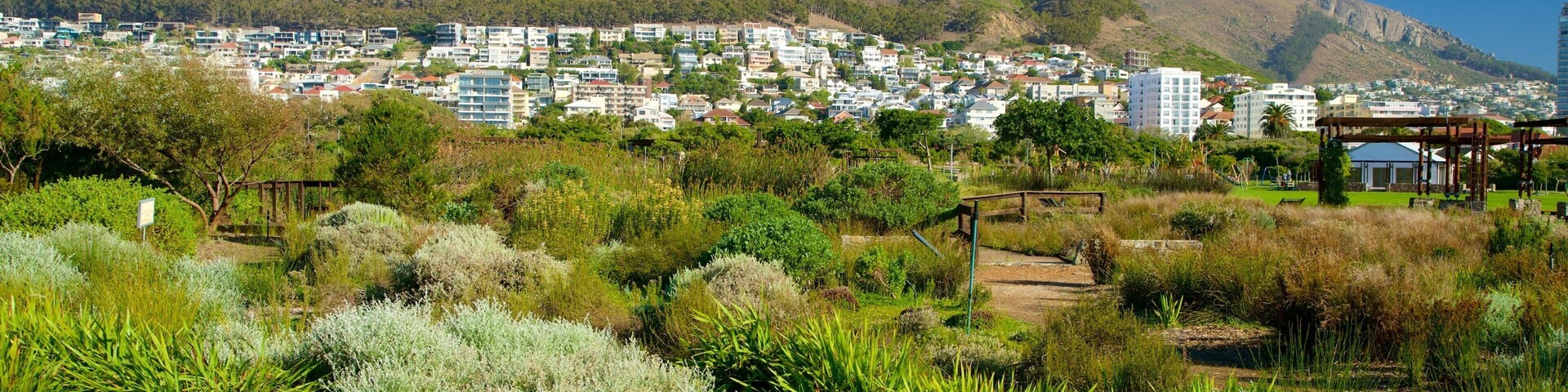 Cape Town which includes a park