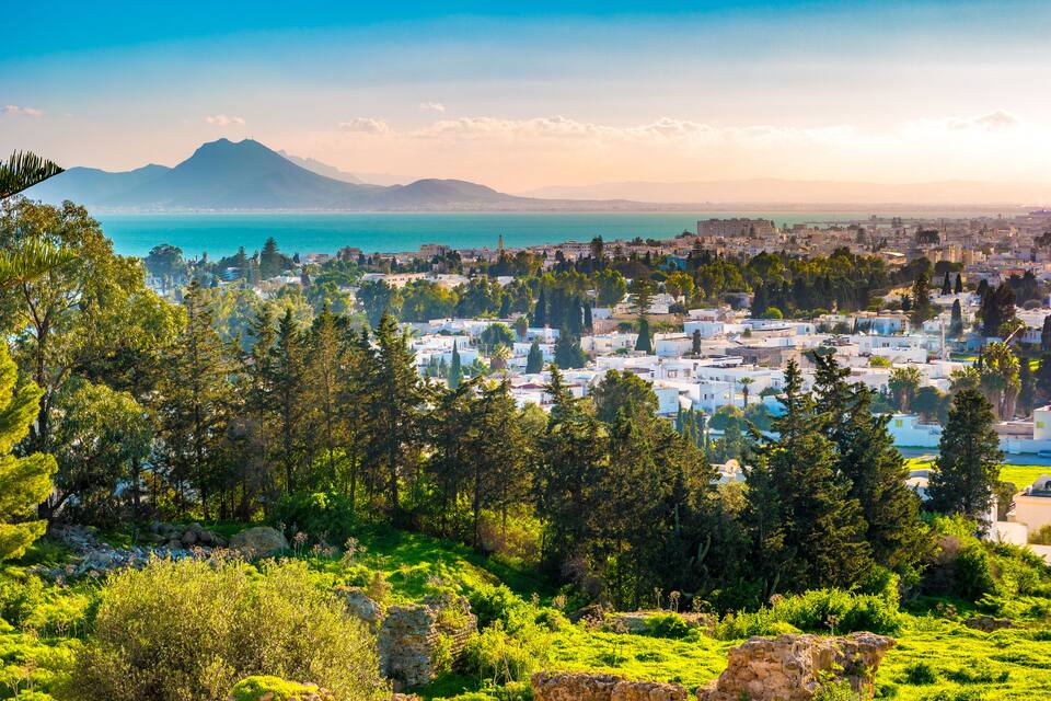 A coastal city with a mountain in the background, surrounded by lush greenery and white buildings.