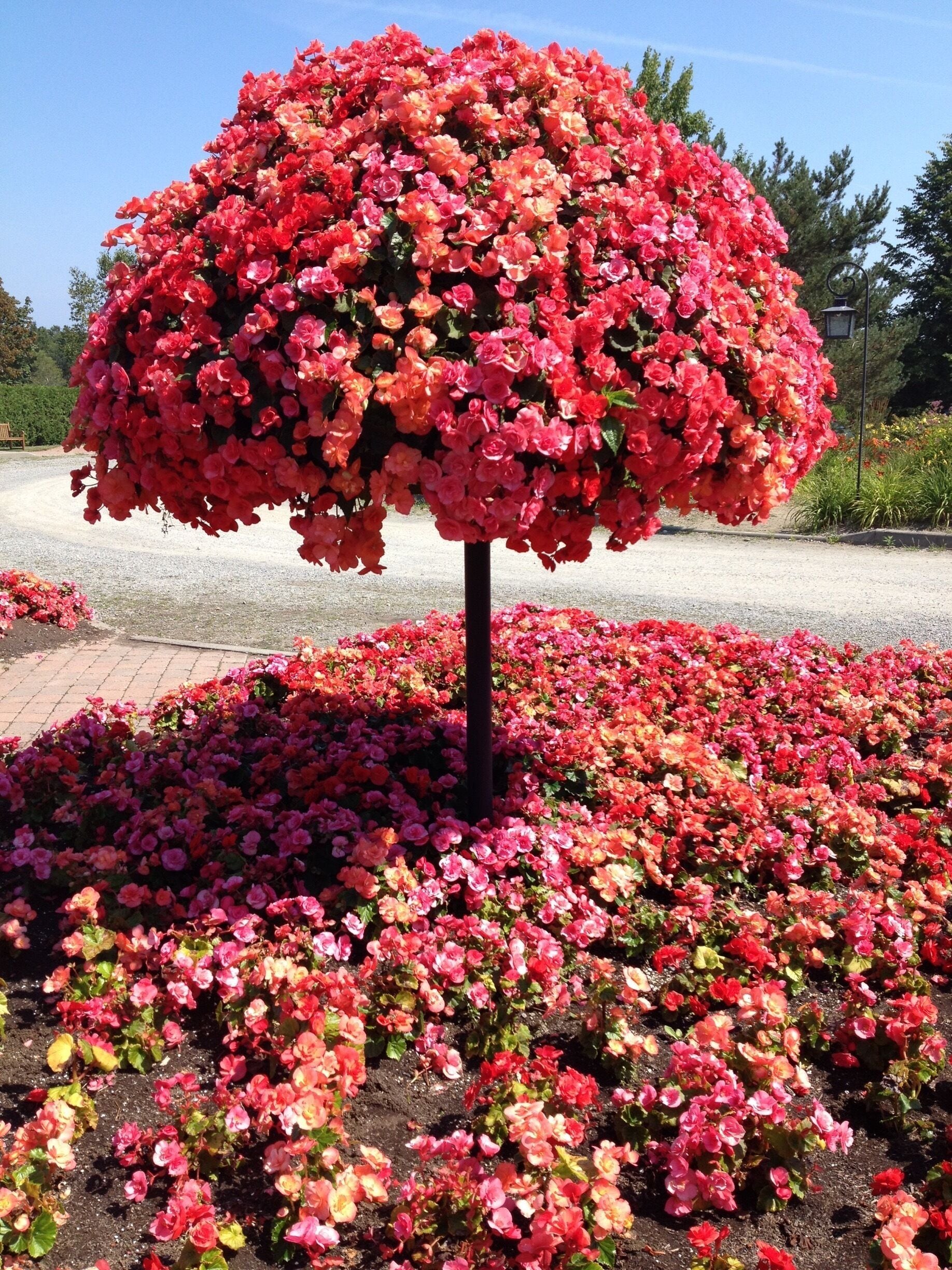 Taken at Kingsbrae Gardens in St. Andrews, New Brunswick.
