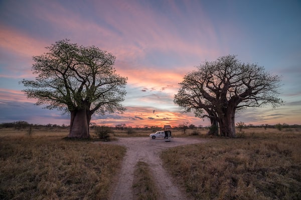 A dirt path leading to a white vehicle parked under two large trees with a sunset in the background.