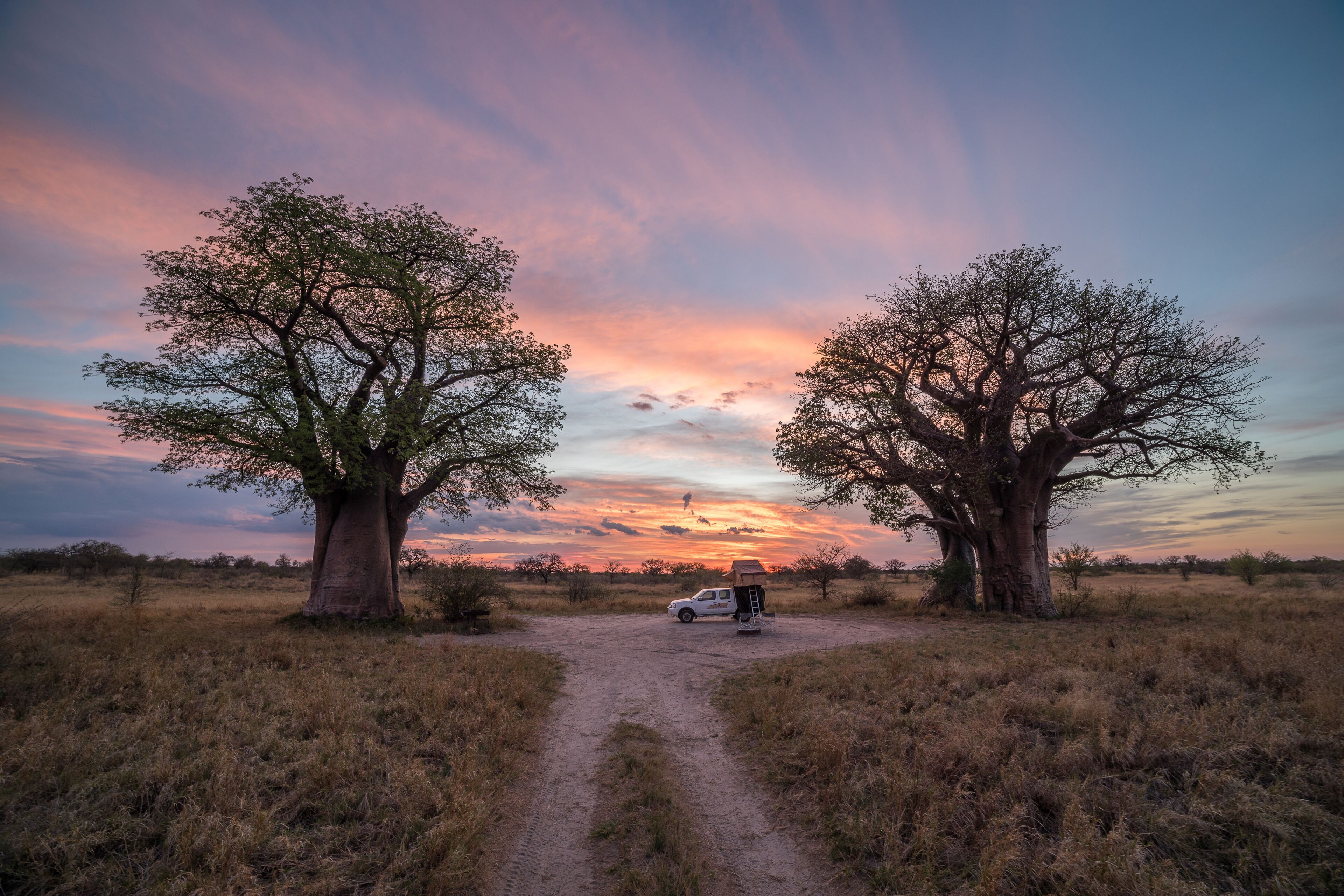 A dirt path leading to a white vehicle parked under two large trees with a sunset in the background.