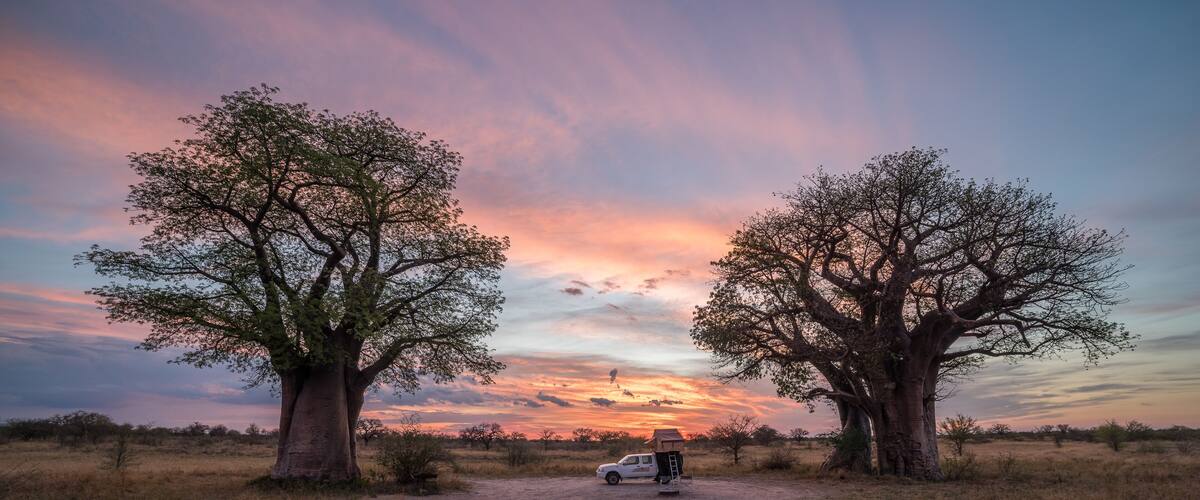 A dirt path leading to a white vehicle parked under two large trees with a sunset in the background.