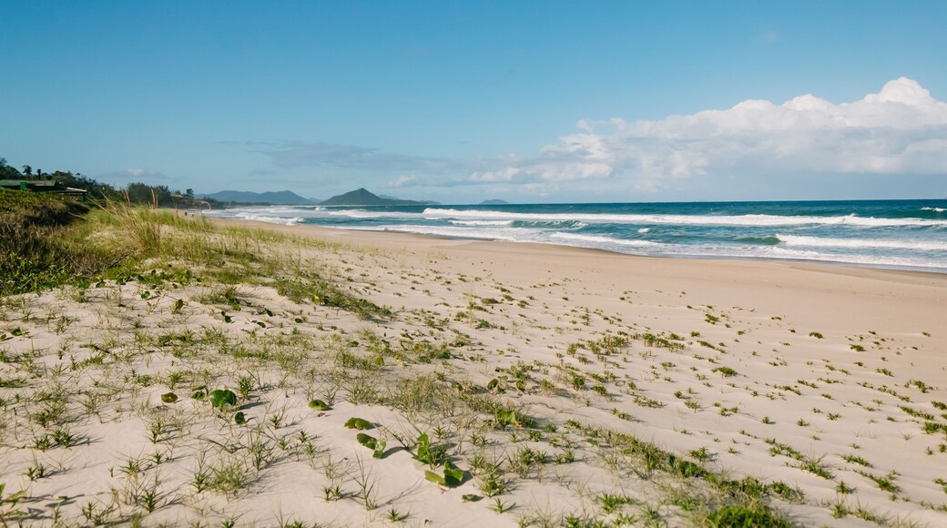 A beautiful end of the afternoon is the daily life of this quiet fishing village in Garopaba - SC in the paradisiacal Praia da Gamboa - Brazil