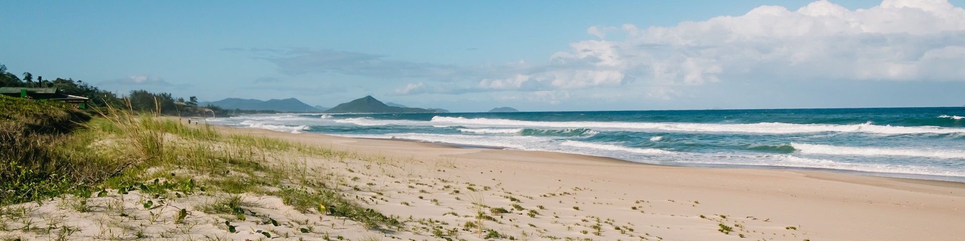 Uma praia arenosa com ondas suaves, dunas gramadas e um céu azul límpido.