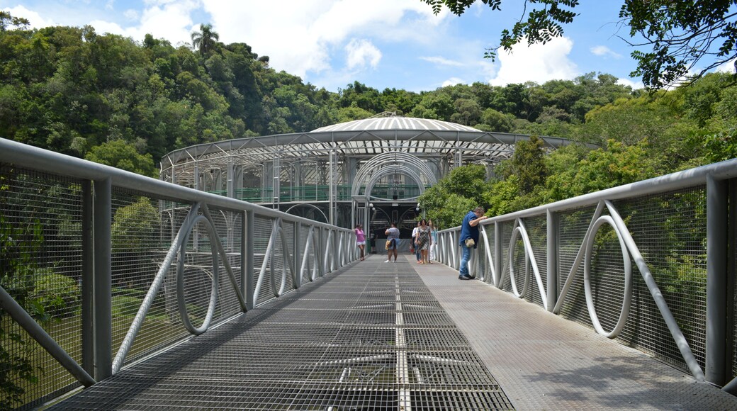 Ópera de Arame Curitiba