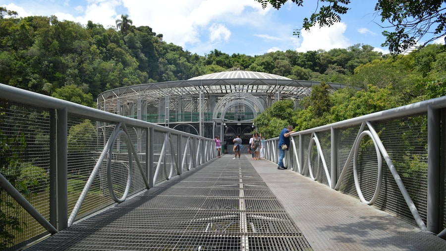 Ópera de Arame Curitiba