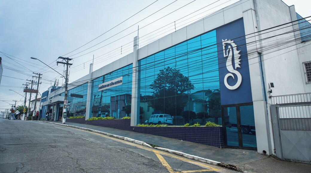 SaoPaulo_SaoPauloAquarium_553248621532464727_18