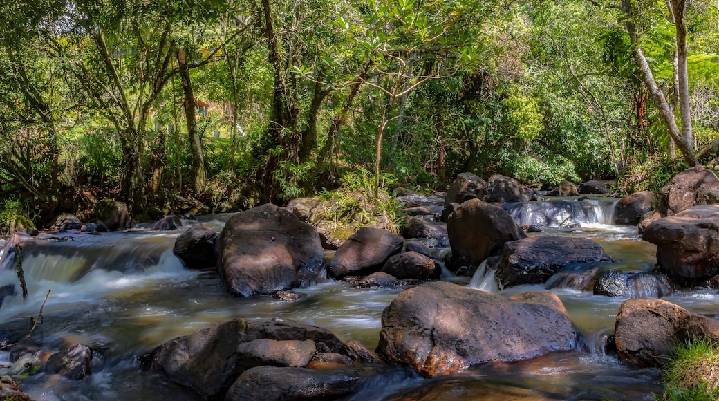 프레토스 워터폴