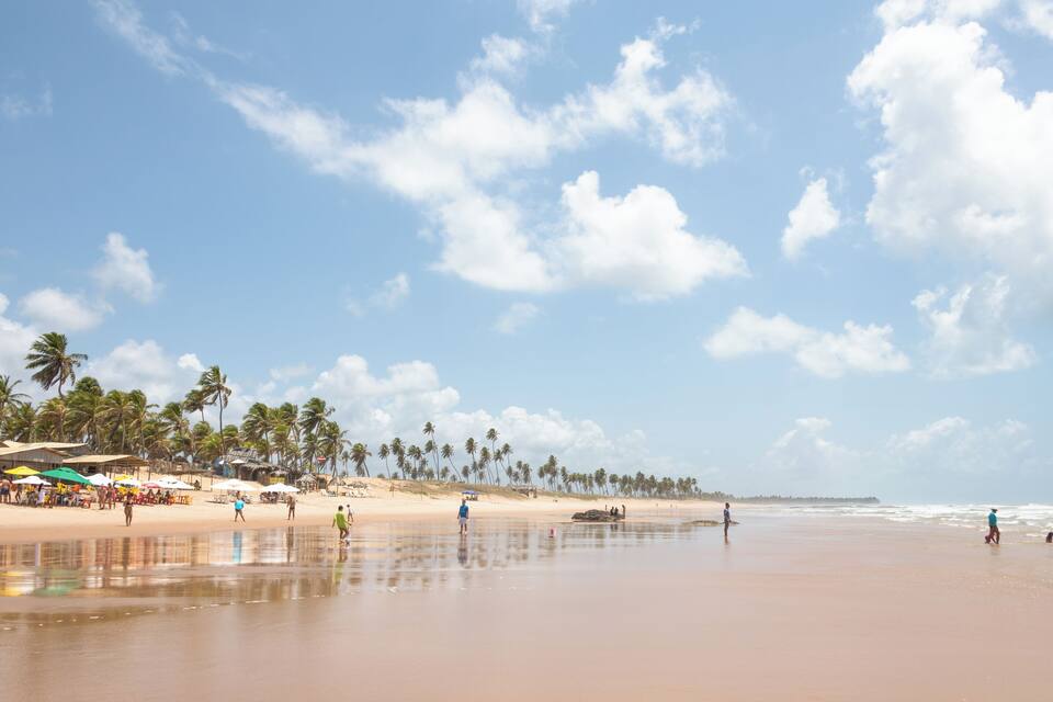 A beach with palm trees, people walking, and beach umbrellas.