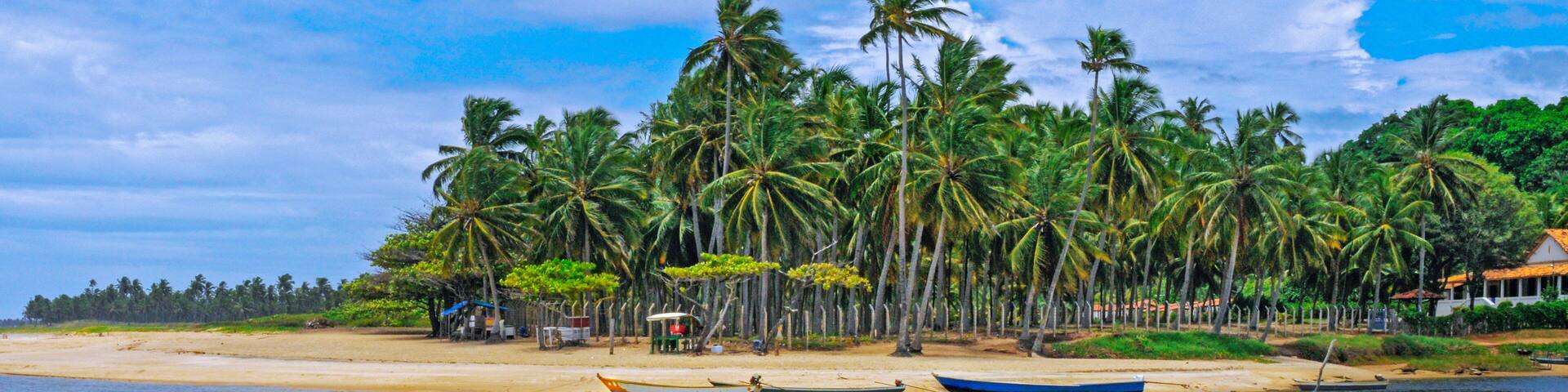 A beach with palm trees, boats, and a sandy shore.
