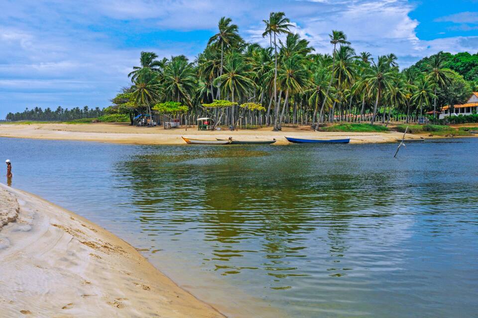 A beach with palm trees, boats, and a sandy shore.