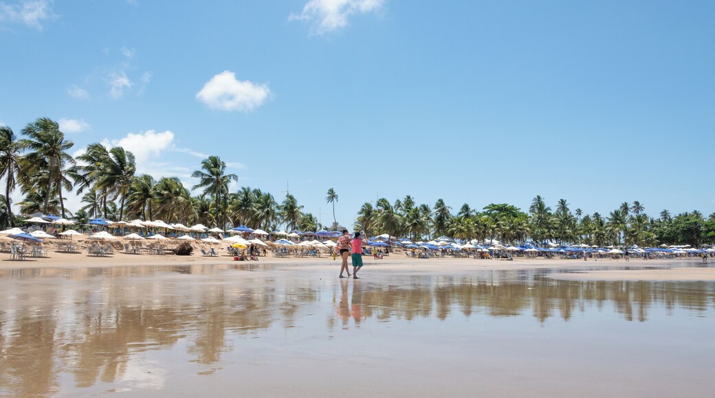 Salvador_PiataBeach_553248621532466632_02