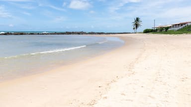 View of Camurupim beach with the reefs in the background, State of Rio grande do Norte in Brazil (photo 2).