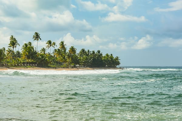 Praia em Barra Grande, Bahia