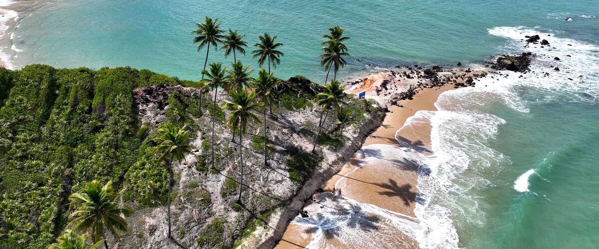 Un paisaje costero con una playa arenosa, aguas turquesas y una hilera de palmeras.