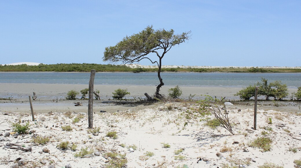 PRAIAS DO CEARA - BRASIL