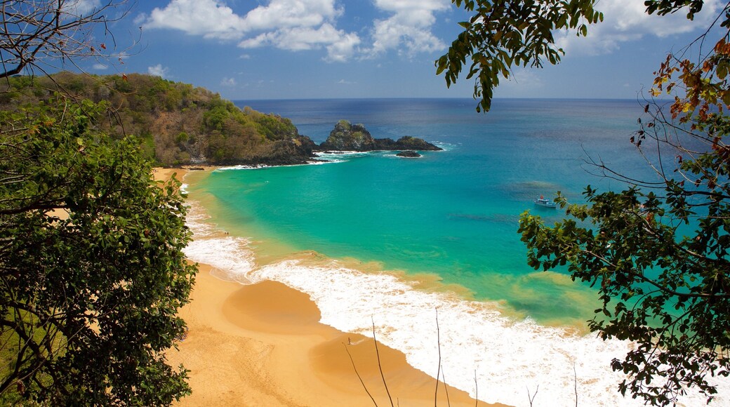 Praia do Sancho caracterizando uma praia de areia, ondas e paisagens litorâneas