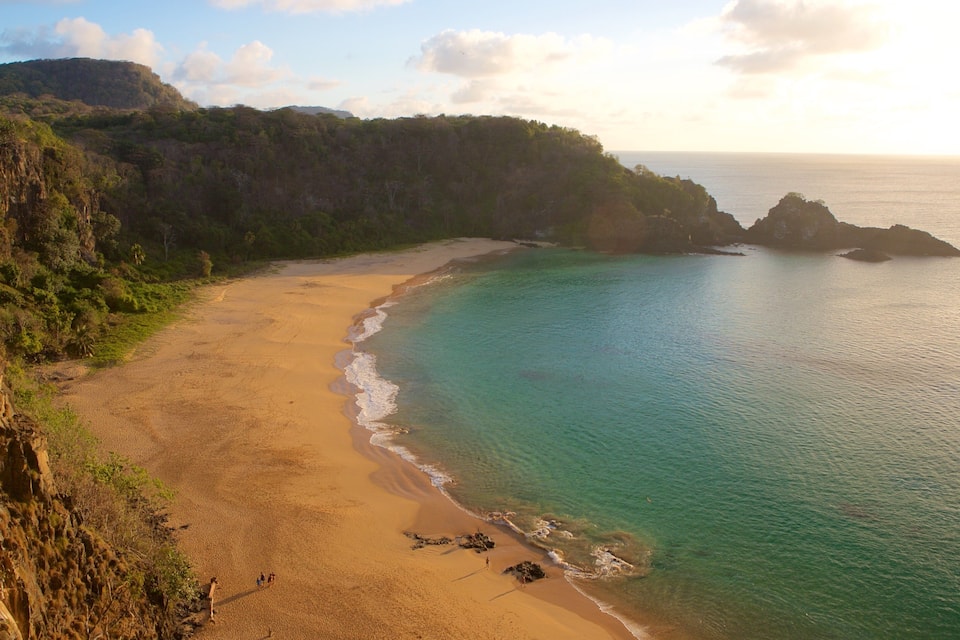 A coastal landscape with a sandy beach, clear turquoise waters, and a forested cliff.