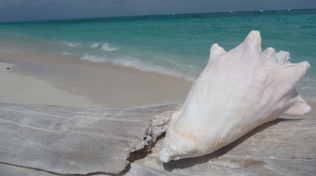 Cayo Bolivar - San Andres - Colombia