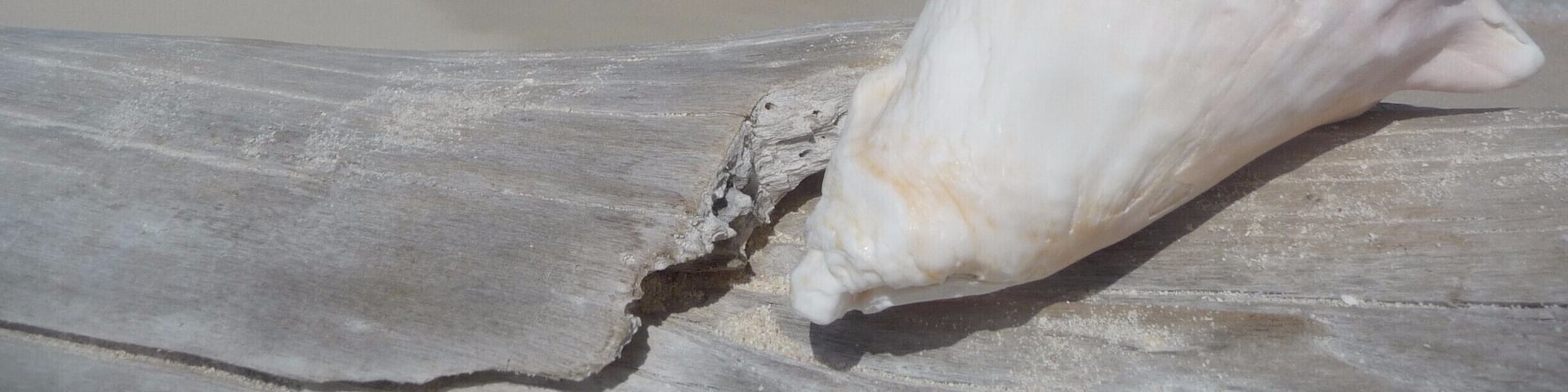 Cayo Bolivar - San Andres - Colombia