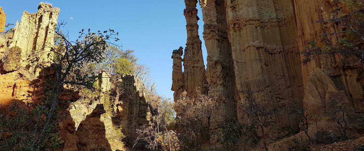 Towering sandstone rock formations with sparse vegetation.