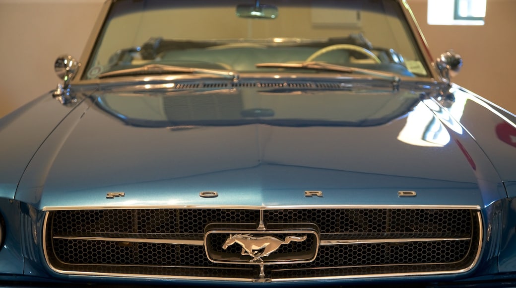 프란쉬후크 을 특징 신호 과 실내 전경