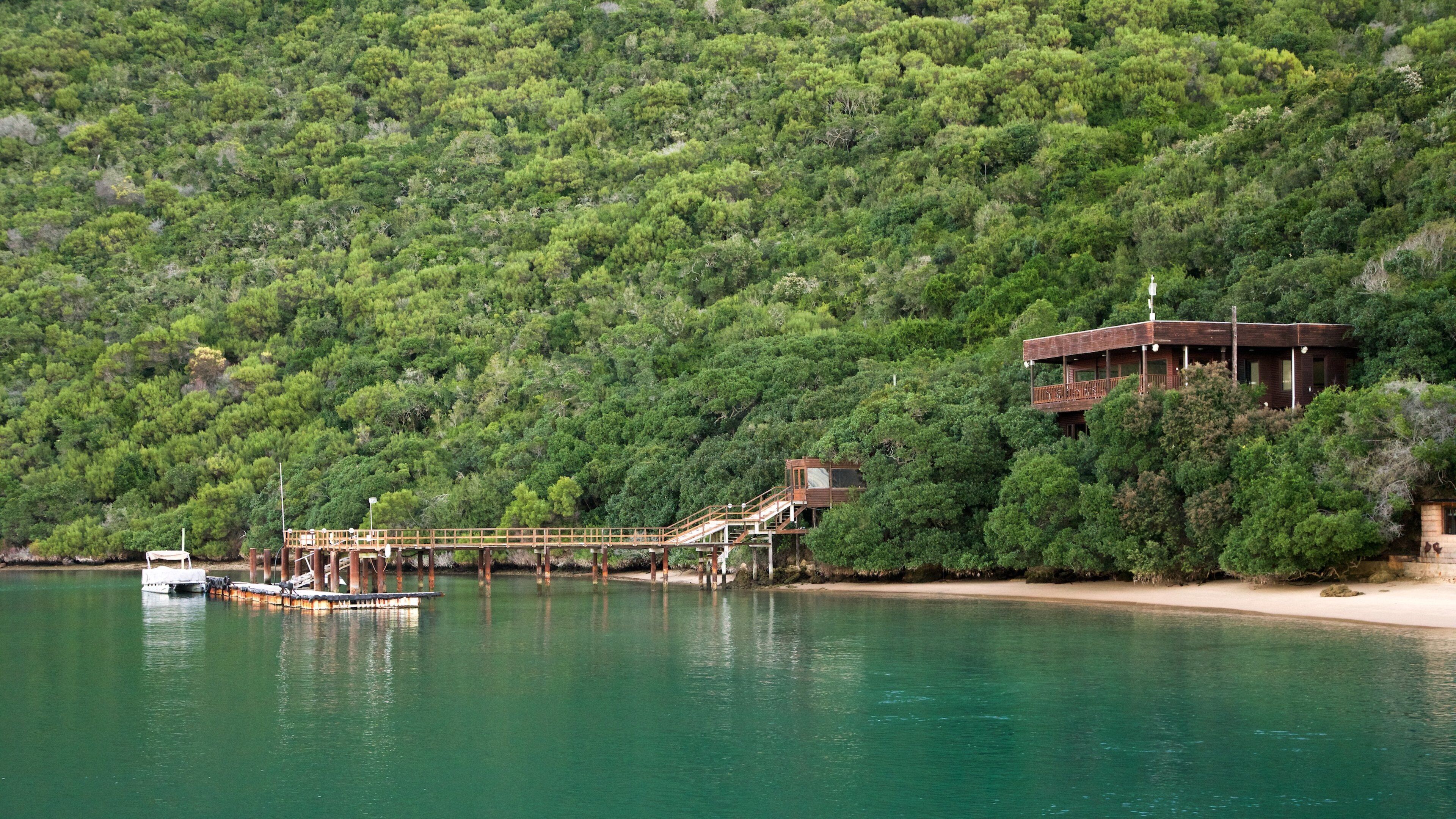 A wooden pier extending into a turquoise lake, surrounded by dense green forest and a beach.