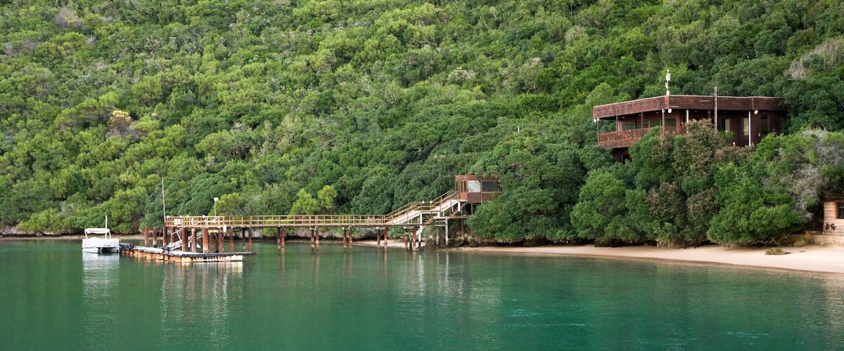 A wooden pier extending into a turquoise lake, surrounded by dense green forest and a beach.