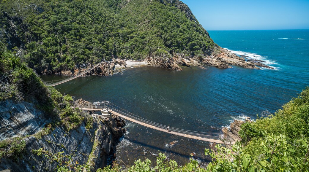 Storms River Suspension Bridge, Eastern Cape, Tsitsikamma National Park, South Africa
