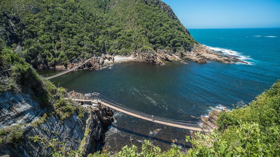 Storms River Suspension Bridge, Eastern Cape, Tsitsikamma National Park, South Africa