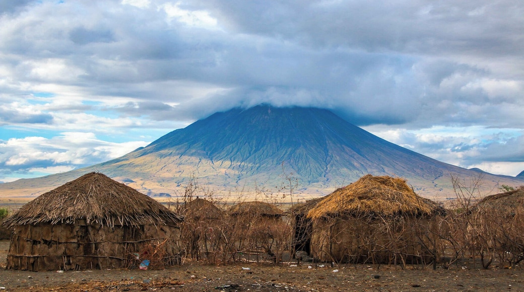 Located near Ngorngoro Crater and Lake Natron, the towering volcano, Ol Doinyo Lengai (translated to Mountain of God) towers over the Maasai village that I was fortunate enough to live in for a week. The domas in the foreground are constructed entirely of mud, manure, sticks, and straw. A beautiful, harsh environment.
#Tanzania #Maasai #homestay #lakenatron #volcano