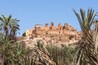 An ancient fortress with ruins, palm trees, and a clear blue sky.